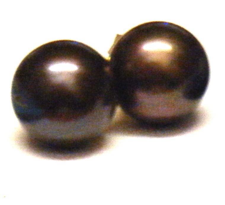 Brown Black 10.5mm Stud Earrings